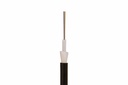 FCOFYX-SM1T3DNS012F