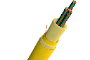 FCOFYX-SM1L3NNS012F